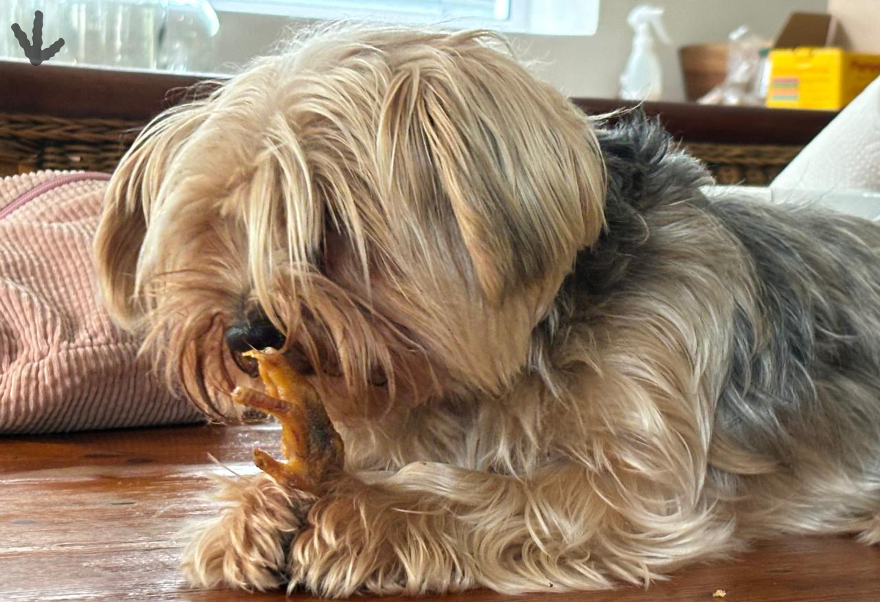 Footsies Numbers Pic